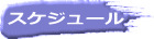 スケジュール